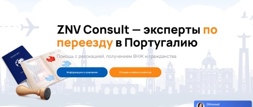 Znvconsult.com