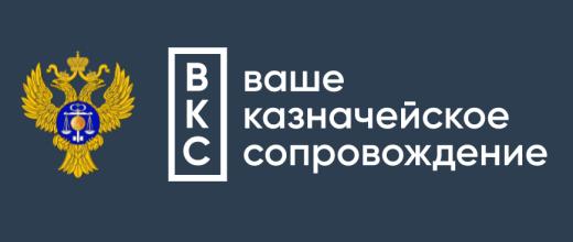 Ваше Казначейское Сопровождение